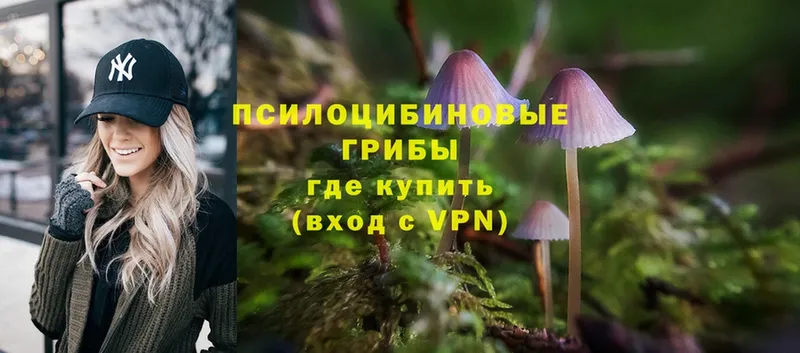 Псилоцибиновые грибы Magic Shrooms Кохма